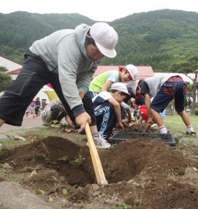 球根掘り