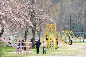 桜